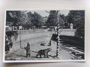 Suisse carte postale originale zoo de Berne tranchée des ours vers 1933 - Photo 1/2