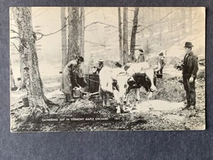 Getting Sap In Vermont Maple Orchard VT Litho Postcard H2331082656 - Imagen 1 de 4