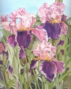 Pink and Purple Iris Wall Art Print 8x10 | Acrylic Floral Garden Decor - Picture 1 of 2