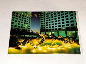 Postcard - The Bronze Mustangs - Las Colinas Museum - Irving, Texas H203 - Picture 1 of 4