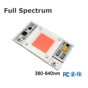 50W 110V 220V DOB High Power Led Chip Built-in Driver Full Spectrum Curing Lamp