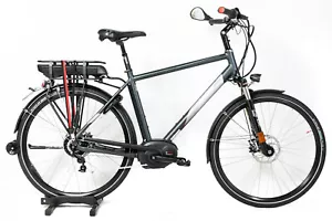 28" Dutch-ID Trekking HS N380 53cm S-Pedelec bis 45km/h Performance Line 500Wh - Bild 1 von 11