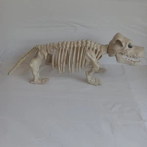 Esqueleto Perro Halloween Decoración Exterior - Imagen 1 de 6