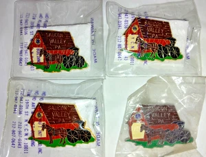 Vintage Lot Of 4 LIONS CLUB SAUCON VALLEY PA Tie Tacks/Lapel Pins NIP Enamel - Picture 1 of 6