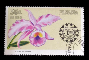 Panama Stamps Sc C354 Orchid Flower 1966 Used OG - Picture 1 of 2