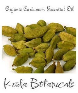 ORGANIC CARDAMOM (Elettaria cardamomum) 100% Pure Essential Oil 10ml - Picture 1 of 2