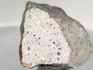 NWA 17896, Howardite, 49,61 g, meteorite con grande crosta e finestra lucida - Foto 1 di 20
