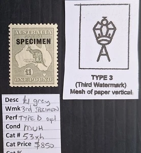 1924 Australia £1.00 Grey Kangaroo Stamp 3rd WMK Type D SPECIMEN Muh $850.00. - Picture 1 of 3