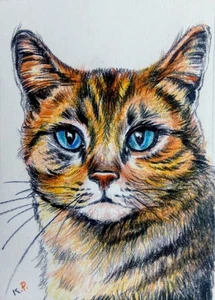 ACEO cat watercolor pencil by the author original 3,5"х2,5" 9x6cm not print - Picture 1 of 1