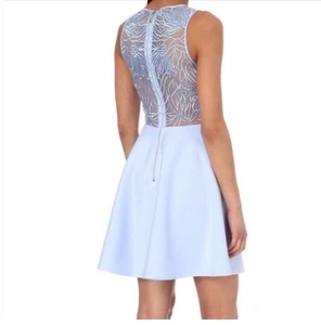 Ted Baker London Venma durchsichtig blau Spitze bestickt Skaterkleid Gr. 1 UK Gr. 4 US - Bild 1 von 12