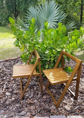 Mid Century Modern Folding Slat Wood Trieste Chairs Aldo Jacober Good Condition Cover