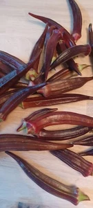 50 Burgundy Okra seeds - organic crop of 2022- - Picture 1 of 6