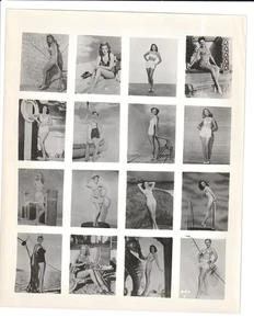 HOLLYWOOD  STARLETS " pin-up/bathing suits" COMPOSITE 1950s mail-out PHOTO sheet - Picture 1 of 2