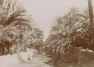 Vintage Fotografien Orientalismus, Afrika, Algerien, Konstantinlandschaft - Bild 1 von 8