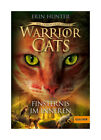 Warrior Cats - Staffel VII, Band 4 - Das gebrochene Gesetz - Finsternis im