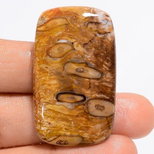 Piedra preciosa cabujón radiante ágata raíz de palma natural 44,1 quilates 40X24X5 mm GC-37813 - Imagen 1 de 2
