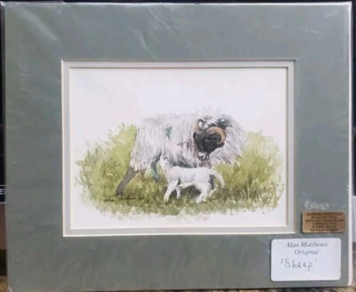 BONITA Acuarela Original Firmado Alan Matthews Oveja Bebé Adulto 8x6 Foto 1 de 4