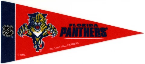 FLORIDA PANTHERS~BRAND NEW NHL HOCKEY TEAM MINI SOUVENIR 9" MINIATURE PENNANT Cover
