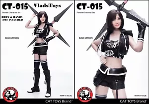 Juego de accesorios de personaje femenino de fantasía de lucha con cabeza 1/6 juguetes para gatos CT015B EE. UU. - Imagen 1 de 2