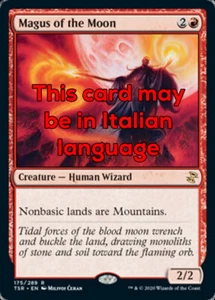 MTG MAGUS OF THE MOON ASIAN EXC - MAGUS DELLA LUNA CHINESE - TSR - MAGIC - Imagen 1 de 1