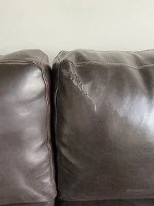 Lounge 2 and 3 seater from Freedom Furniture - Picture 1 of 7