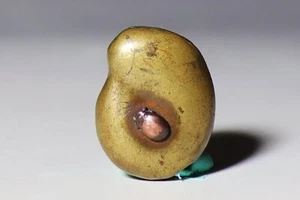 Netsuke Inro Ojime Sagemono Edo Era Japanese Antique Brass Bean with Insects - Picture 1 of 4