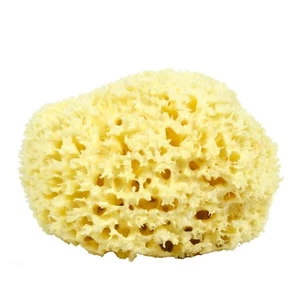 Sea Wool Sponge - All Natural Honeycomb Renewable Sea Sponge, Jumbo, Approx. ... - Picture 1 of 6