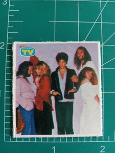 1980 PANINI Sorrisi e Canzoni Rock Music FLEETWOOD MAC STEVIE NICKS sticker card