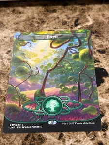 Forest #239 Magic the Gathering MTG Unfinity - Bild 1 von 2