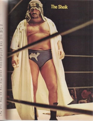 Классический «Мир борьбы» зима 71 Flying Fred Curry чехол 4 захватывающие фотографии - Изображение 1 из 4