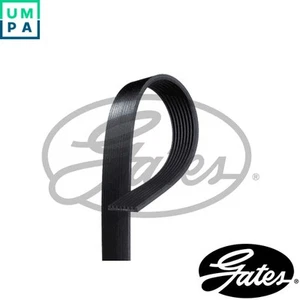 VRIBBED BELT 8PK1323HD FOR VOLVO B78700 D7E290/D7E240/D7E320 7.1L D7B230 6.7L - Picture 1 of 7