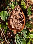 Pâte de cacao équatorienne cérémonielle * biologique* 1 lb