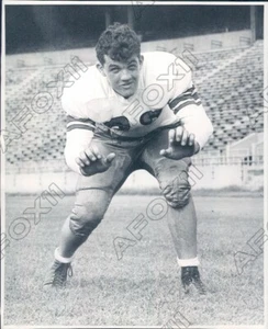 1946 Ohio State University Buckeyes Football Right End Tom Watson Press Photo - Picture 1 of 2