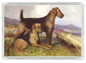 AIREDALE TERRIER HUNDE HUND KUNSTDRUCK NEUHEIT KÜHLSCHRANKMAGNET TOLLES GESCHENK - Bild 1 von 1