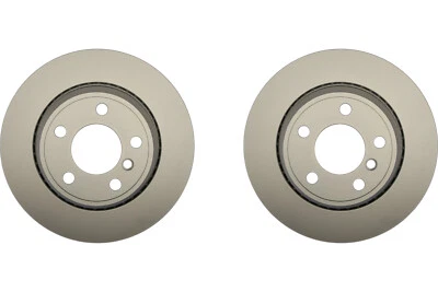 PAR de rotores de freno de disco trasero Raybestos para BMW X5 2002-2006 (60282) Foto 1 de 4