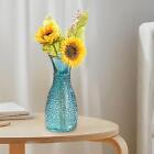 Flowers Glass Vase Bud Vase Modern Plants Pot for Indoor Home Desk
