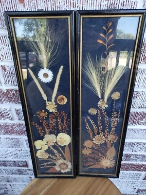 2 ANTIGUAS FLORES SECAS ROCOCÓ ENMARCADAS prensadas polonia rareza victoriana arte de pared Foto 1 de 4
