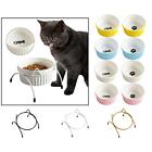 Raised Cat Bowls Small Dog Bowls with Stand Pet Water Feeder Kitten Dishes