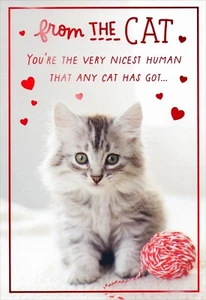 Linda y Divertida Tarjeta del Día de San Valentín DEL GATO PARA EL HUMANO MÁS BONITO por Hallmark + ✉� - Imagen 1 de 4