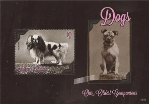 Antigua - 2013 Dog Breeds - Stamp Souvenir Sheet MNH - Scott #3225 - Picture 1 of 1