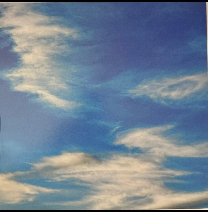 Thirty Seconds To Mars It's The End Of The World But It's A Beautiful Day Vinyl - Image 1 of 1