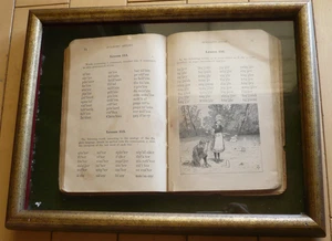 MCGUFFEY'S EKLEKTISCHES RECHTSCHREIBBUCH, ANTIKES BUCH MIT GRAVUR LEKTION 116 - Bild 1 von 16