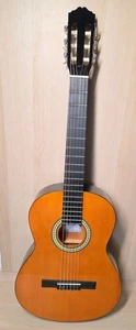 Classical Guitar for Beginners - Picture 1 of 7
