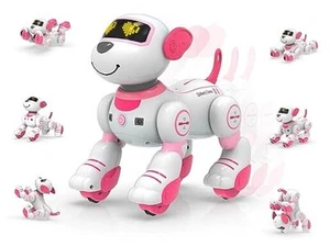 Programmable Remote Control Robot Cat Robot Dog for Kids, Interactive Robotic - Picture 1 of 7