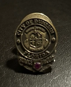 City Of Dunedin Florida Service Award Lapel Pin 1/10 10k Gf Terry Berry - Picture 1 of 4