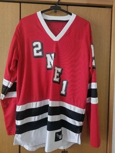 2NE1 YG Family World Tour POWER Hockey Jersey Shirt K-POP Size Asian Free Japan - Picture 1 of 4