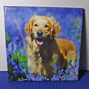 Azulejo decorativo mural imagen idea de regalo traer Golden Retriever (015DP) - Imagen 1 de 1