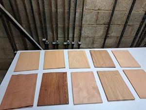Wood Veneer Sample Pack - 10 PIECES 300mm x 210mm - for marquetry - Pack 176 - Picture 1 of 12