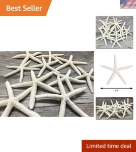 Natural White Starfish 6-8'' Set of 10 - Ideal for Beach Weddings & DIY Projects - Picture 1 of 8