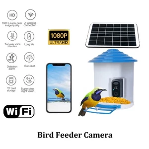 Solar Smart Bird Feeder with Camera WiFi 1080P HD Night Vision AI Recognition - Picture 1 of 15